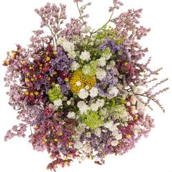 Sommerstrauss Crapedia/limonium 37cm