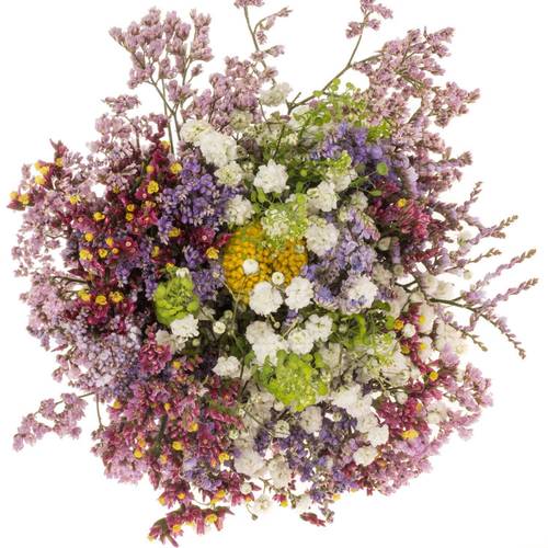 Sommerstrauss Crapedia/limonium 37cm