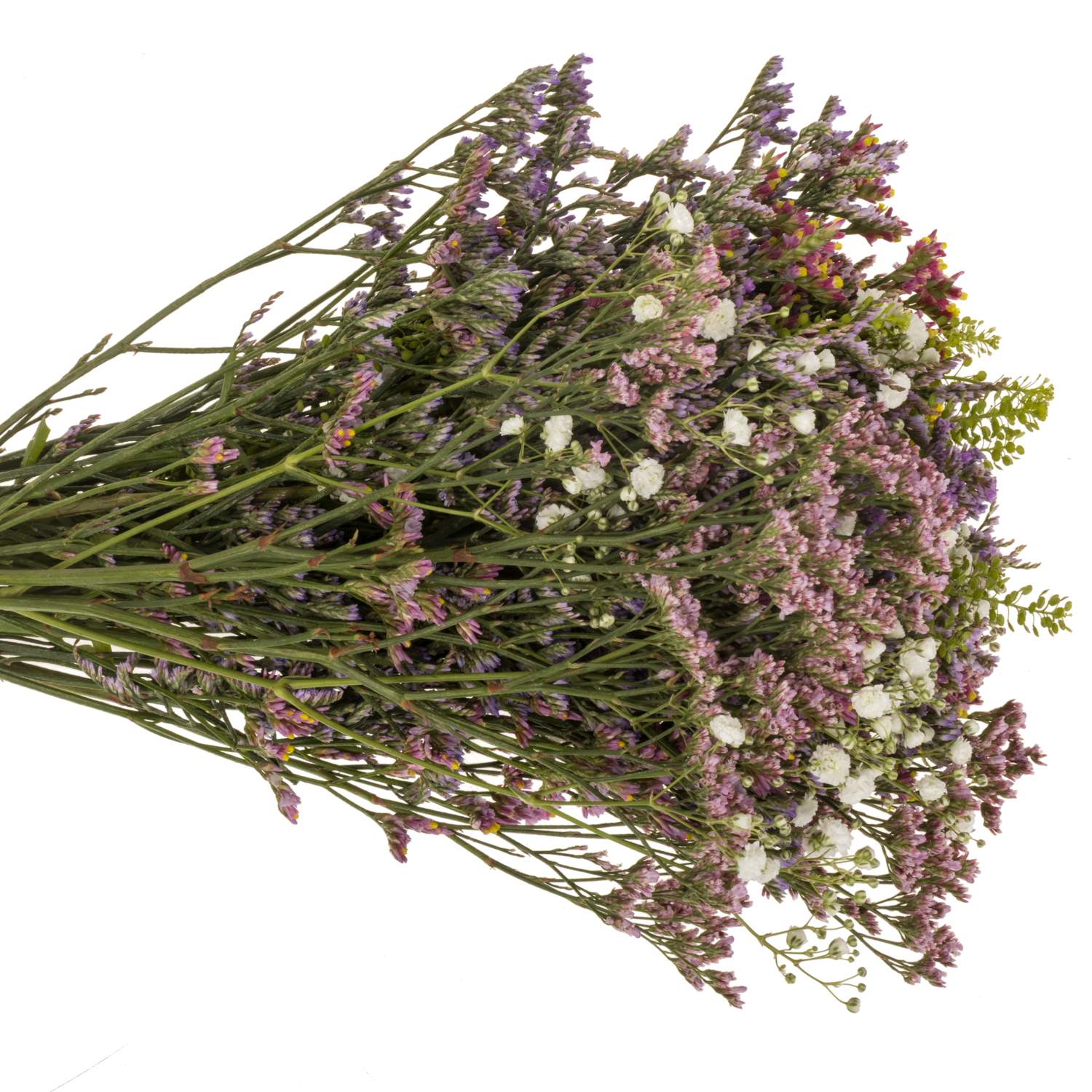 Strauss Limonium/craspedia 40cm