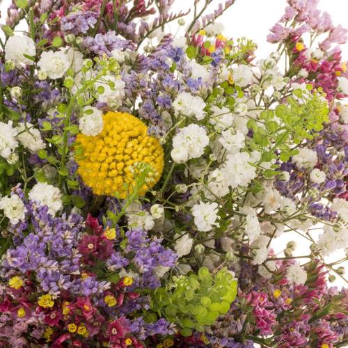 Sommerstrauss Crapedia/limonium 37cm