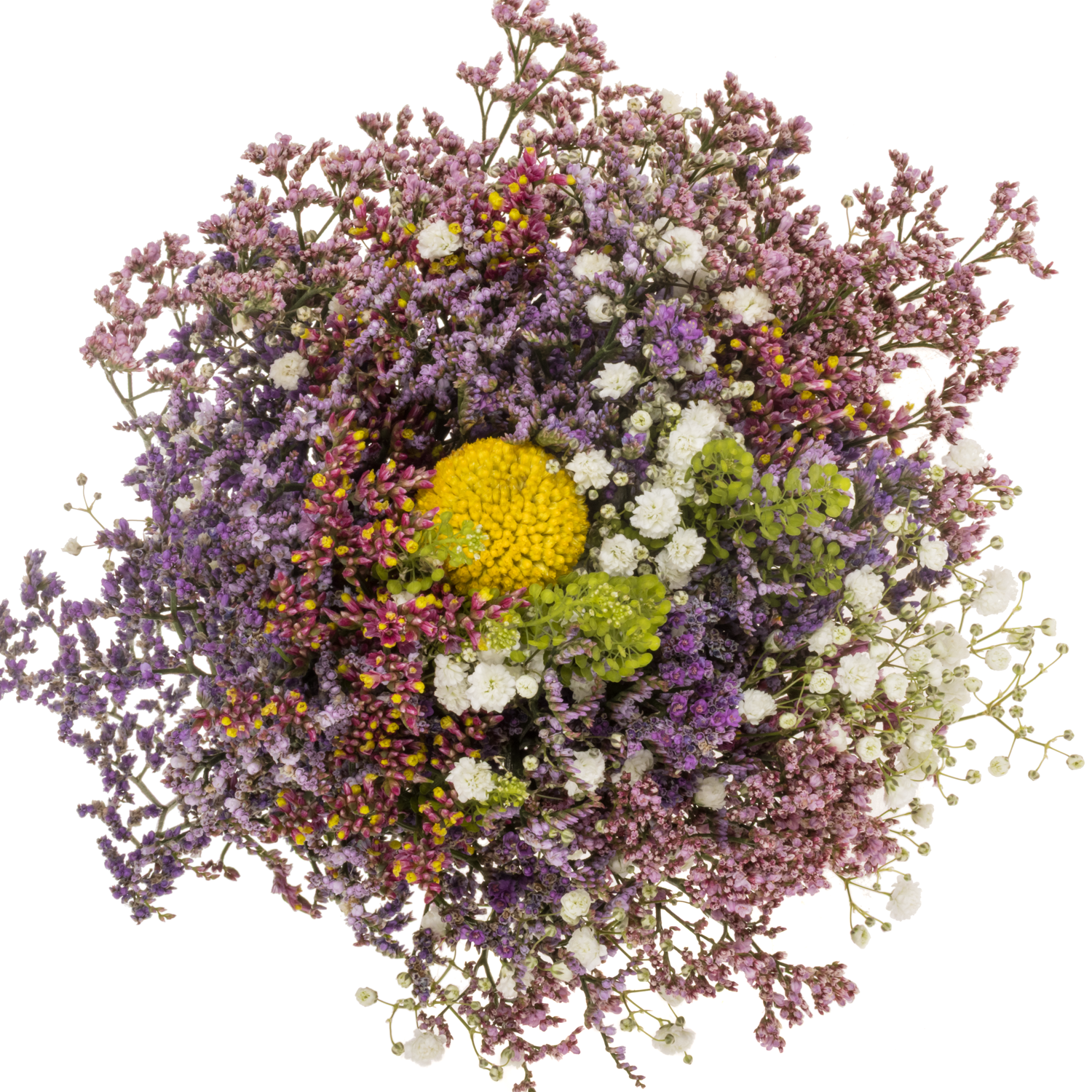 Strauss Limonium/craspedia 40cm