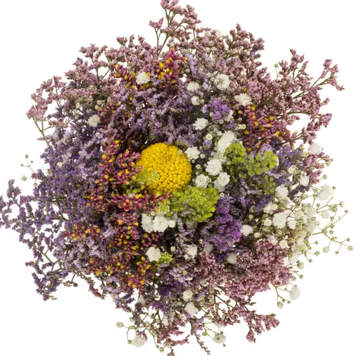 Strauss Limonium/craspedia 40cm