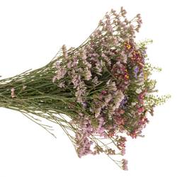 Sommerstrauss Crapedia/limonium 37cm