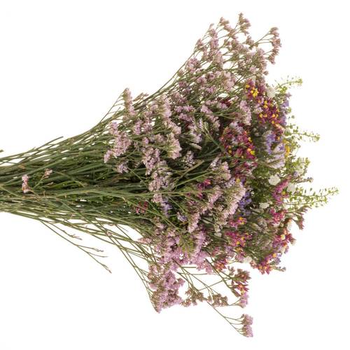 Sommerstrauss Crapedia/limonium 37cm