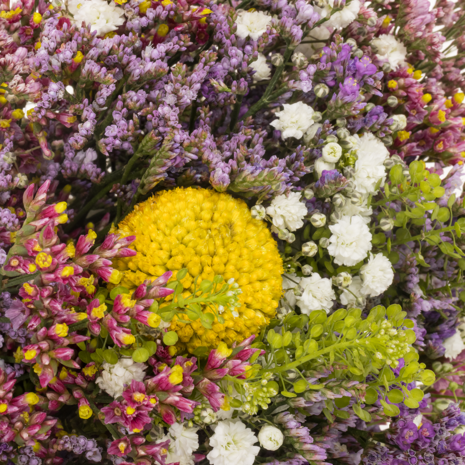Strauss Limonium/craspedia 40cm