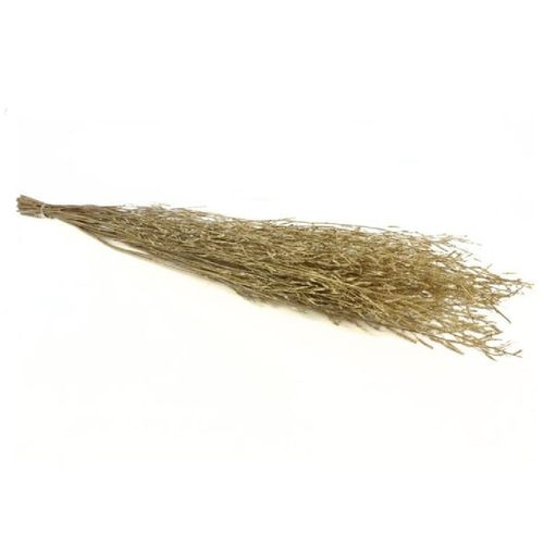 Trocken Saras Grass gold L100cm