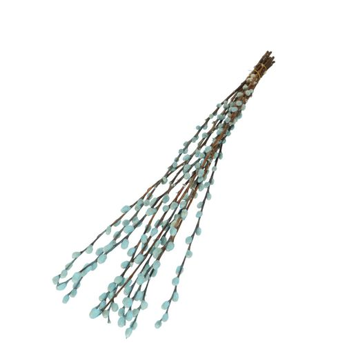 Trocken Zweig Weidenkätzchen türkis L70cm