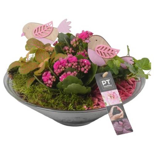 Frühling.Arr PTIG6807 T26 H19