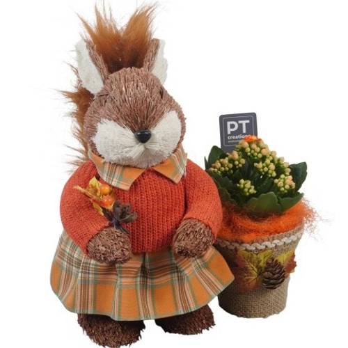 Kal.Arr PTHI5458 Herbst T24 H029