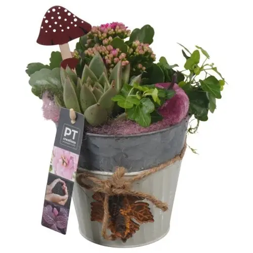 Kal.Arr PTHI5306 Herbst T13 H023