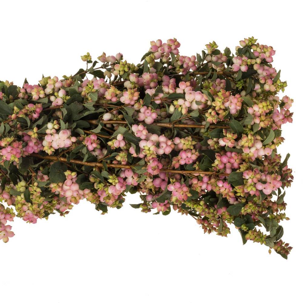 Schneebeere dunkel rosa Pink Falls 60cm