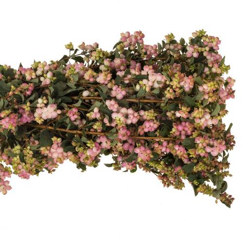 Schneebeere dunkel rosa Pink Falls 60cm