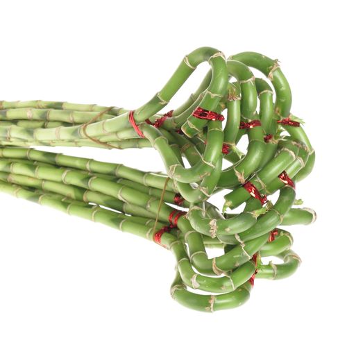 Jungle Bamboe grün Herz 40cm