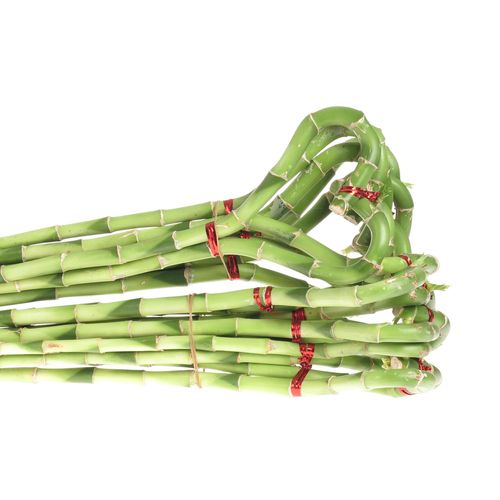 Jungle Bamboe grün Herz 40cm