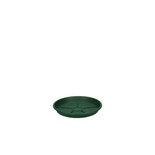 Kunststoff Untersetzer grün D14cm