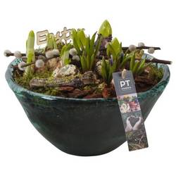 Zwiebel.Arr mix PTBMP5762 Ostern T26 H022