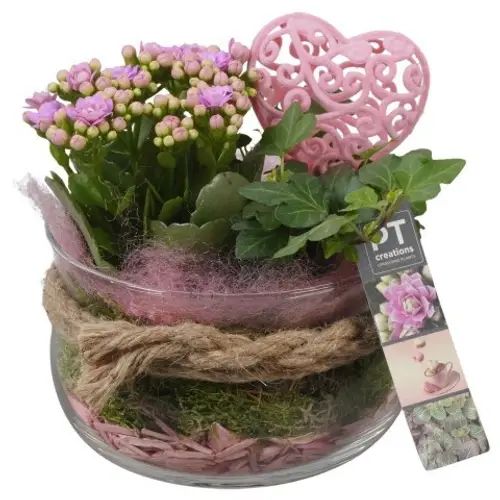 Kal.Arr PTVMG4902 T16 H021