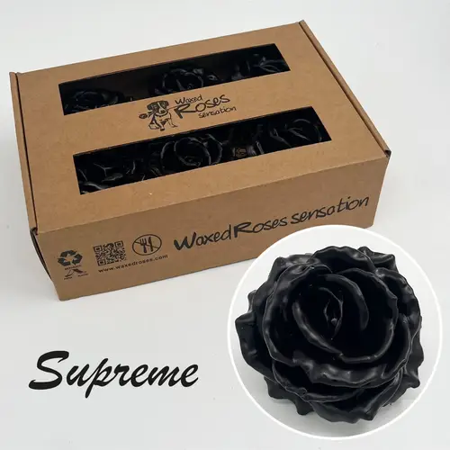 Seiden Wachs Rose Supreme schoko braun