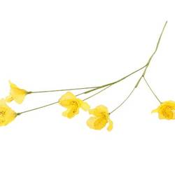 Seiden Lisianthus gelb L63cm