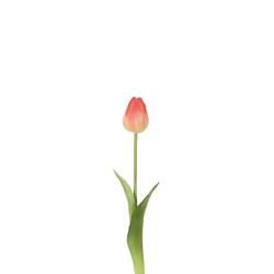 Seiden Tulpe hell rot L46cm