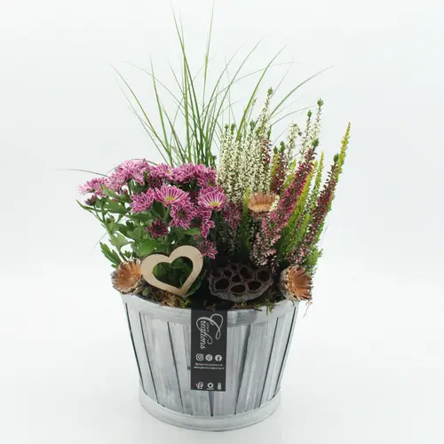 Garten.Arr-2510 Allerheiligen T23 H050