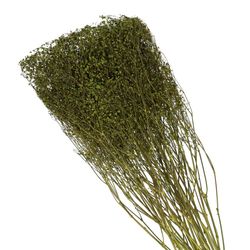 Trocken Gyps grün L70cm 45gr