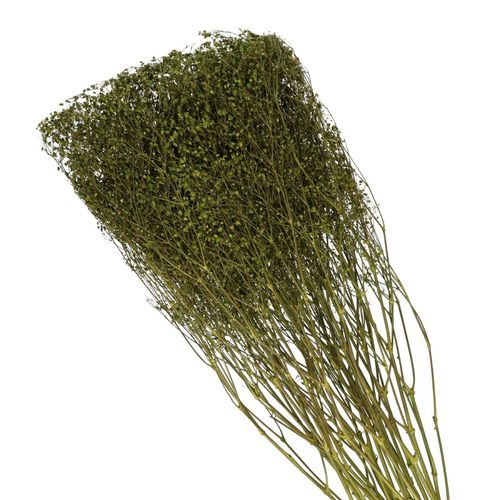 Trocken Gyps grün L70cm 45gr