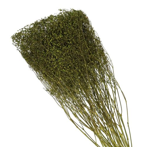 Trocken Gyps grün L70cm 45gr