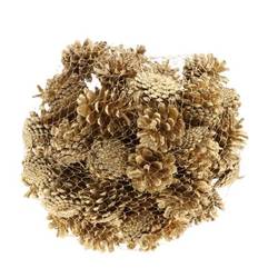 Trocken Pinea gold 1kg