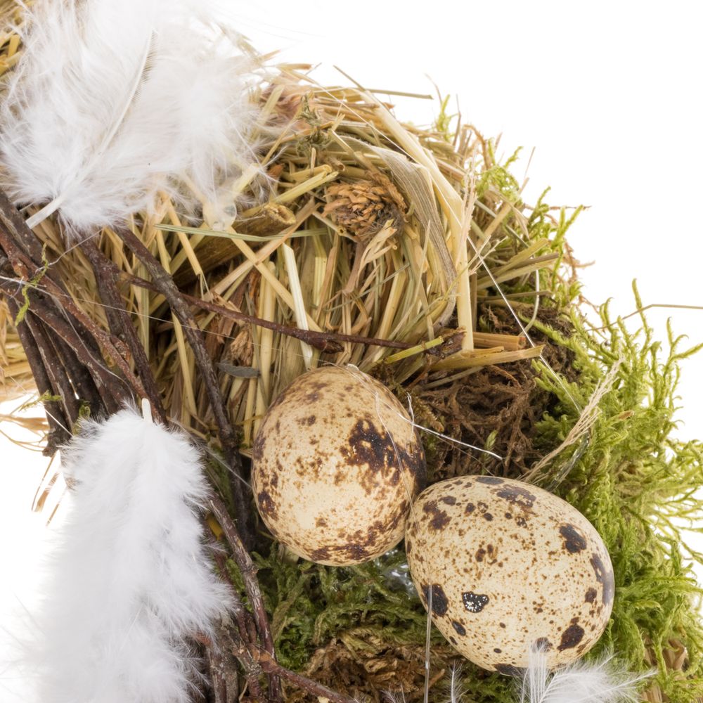Kranz Frühling/Oster 411 D25cm (Kränze Natur) | Heyl - Blumengroßhandel ...
