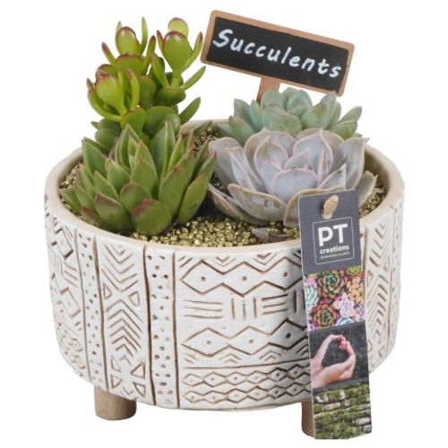 Succ.Arr PTSU6144 T17 H18