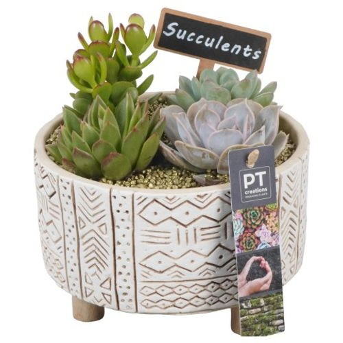 Succ.Arr PTSU6144 T17 H18