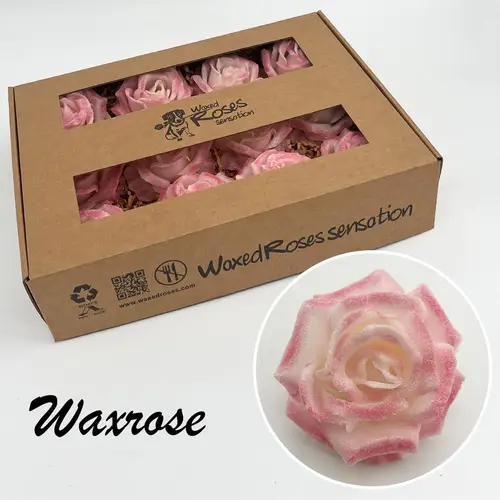 Seiden Wachs Rose Glitzer rosa