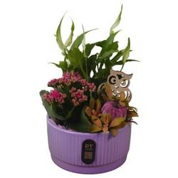 Spath.Arr PTHI3201 Herbst T16 H028