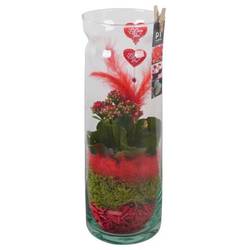 Kal.Arr PTVMG4933 T12 H038