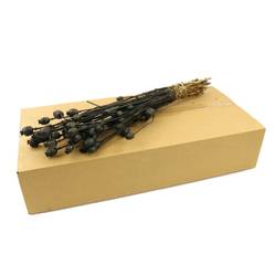 Trocken Papaver schwarz L60cm in Karton