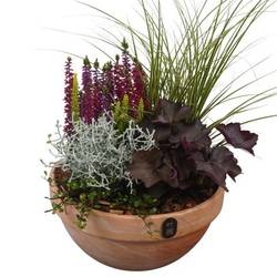 Garten.Arr PTHO7696 Herbst T23 H044