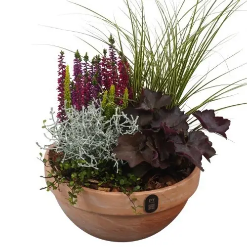 Garten.Arr PTHO7696 Herbst T23 H044