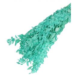 Trocken Ruscus hell blau L65cm 110gr
