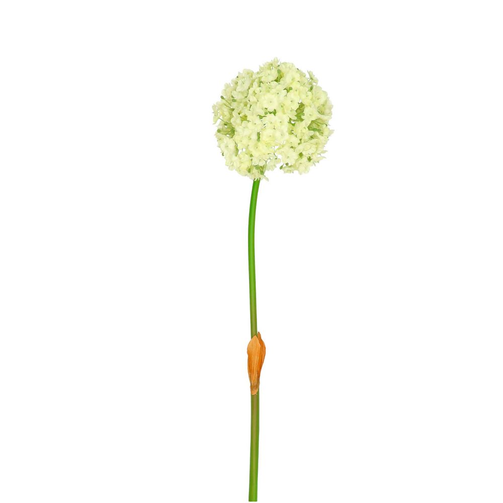 Seiden Allium weiss L82cm