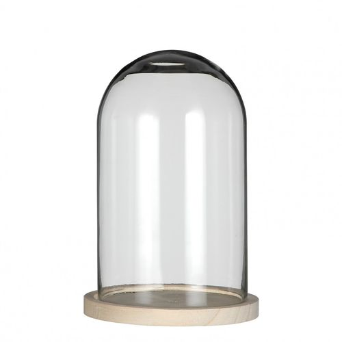 Glasglocke + Holz D14cm H21cm