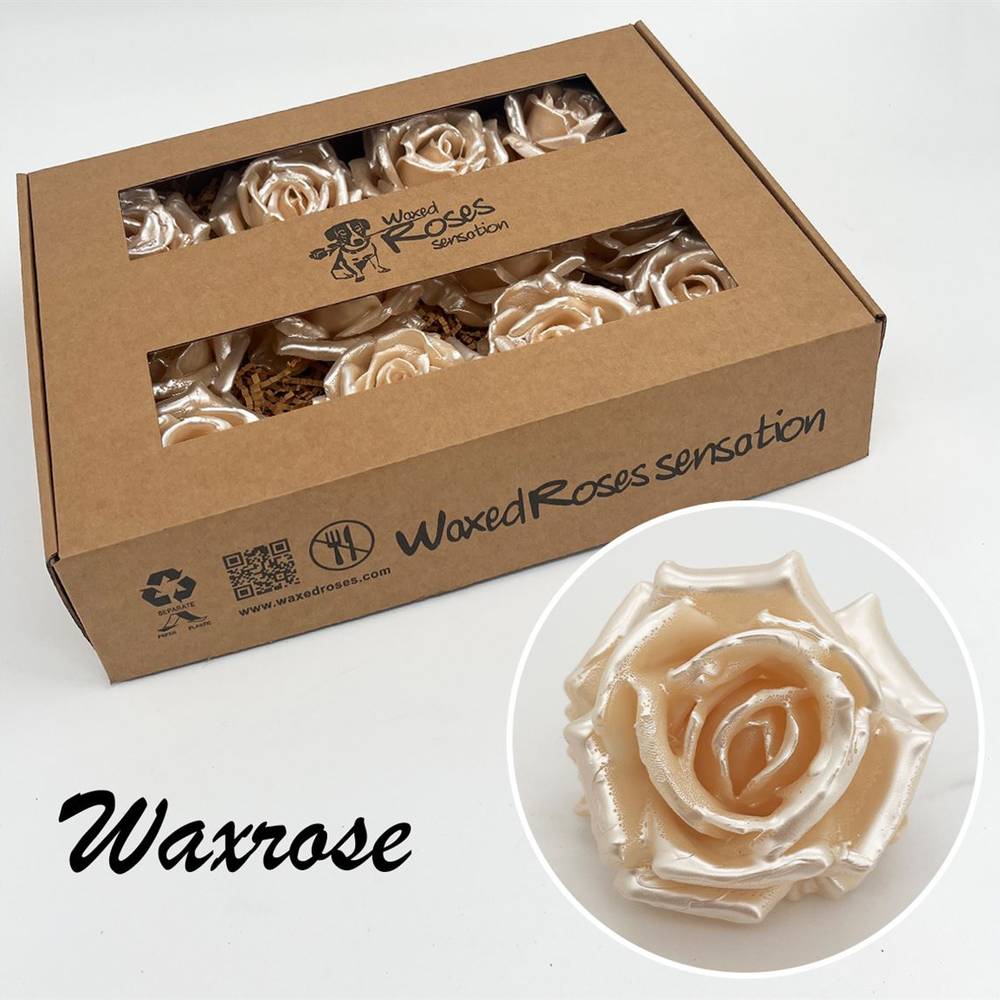 Seiden Wachs Rose perl weiss