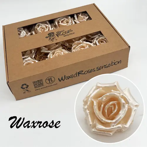 Seiden Wachs Rose perl weiss