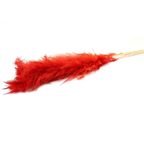 Trocken Pampas Dadan rot L120cm x5