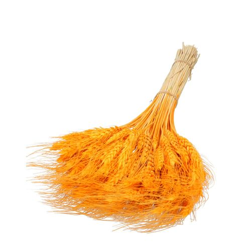 Trocken Weizen orange L60cm