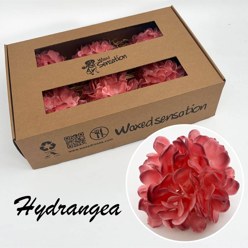 Seiden Wachs Hortensie dunkel rosa