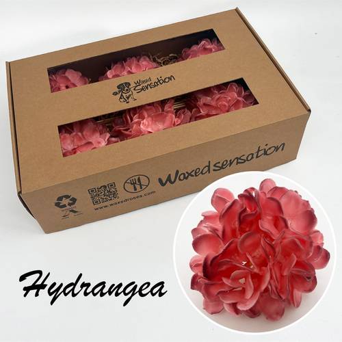 Seiden Wachs Hortensie dunkel rosa