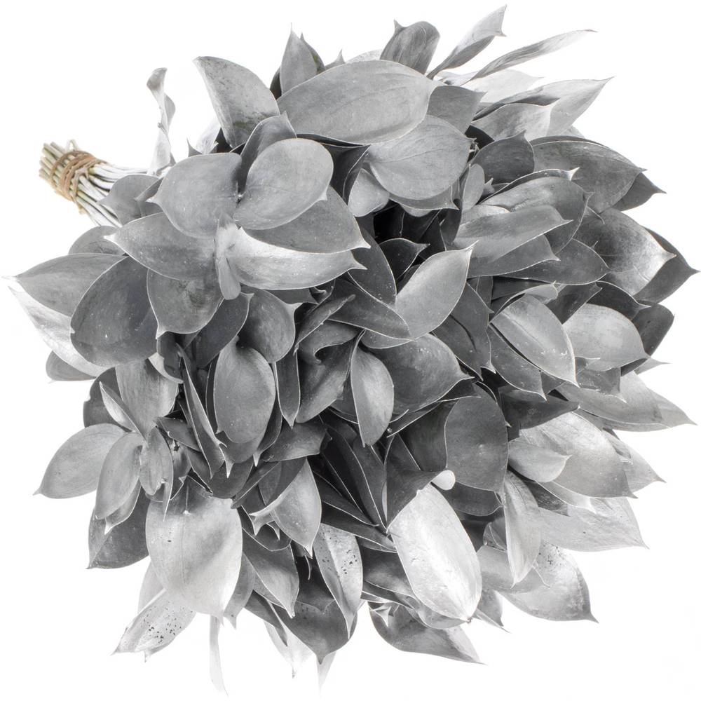 Ruskus silber gefärbt 60cm