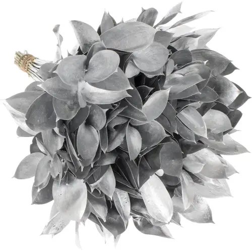 Ruskus silber gefärbt 60cm