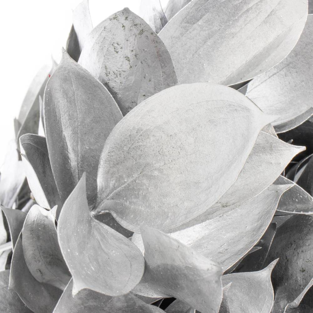 Ruskus silber gefärbt 60cm